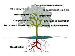 Classification tree